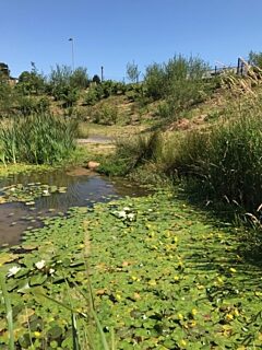 A photo of a ProCon Awards finalist project