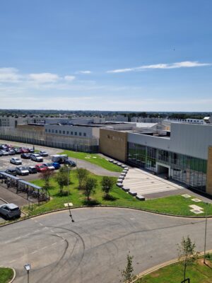 A photo representing this patron spotlight from Pick Everard