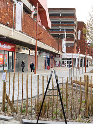 A photo representing this patron spotlight from Danaher & Walsh