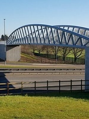 A photo representing this patron spotlight from Danaher & Walsh