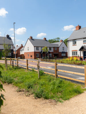 A photo representing this patron spotlight from Lovell